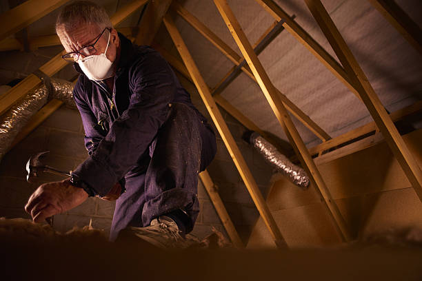 Best Insulation for Specific Applications in Ashland, AL